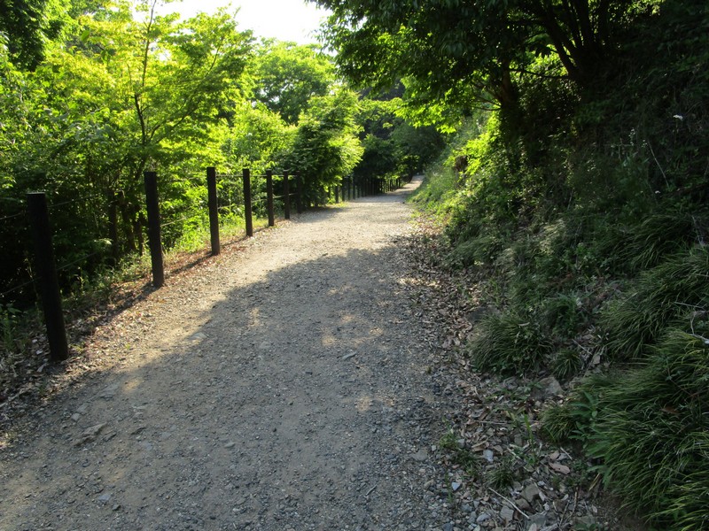 展望台へ向かう遊歩道