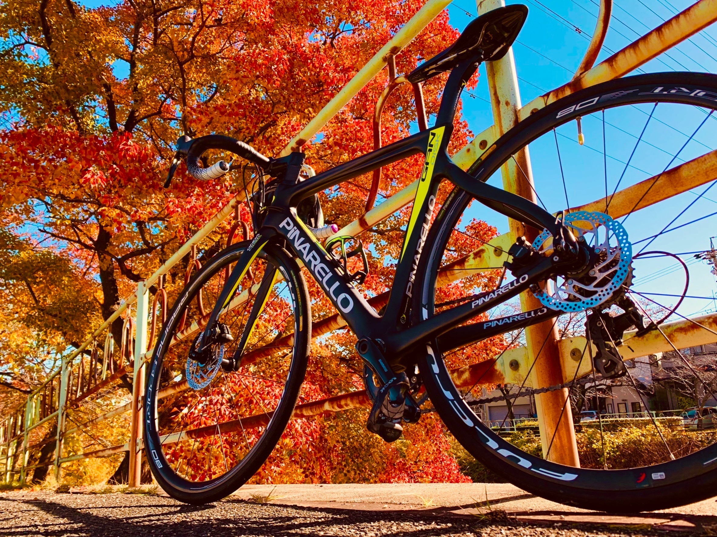 自転車で多摩川を走りたい方へ｜最適なスポーツバイクの選び方