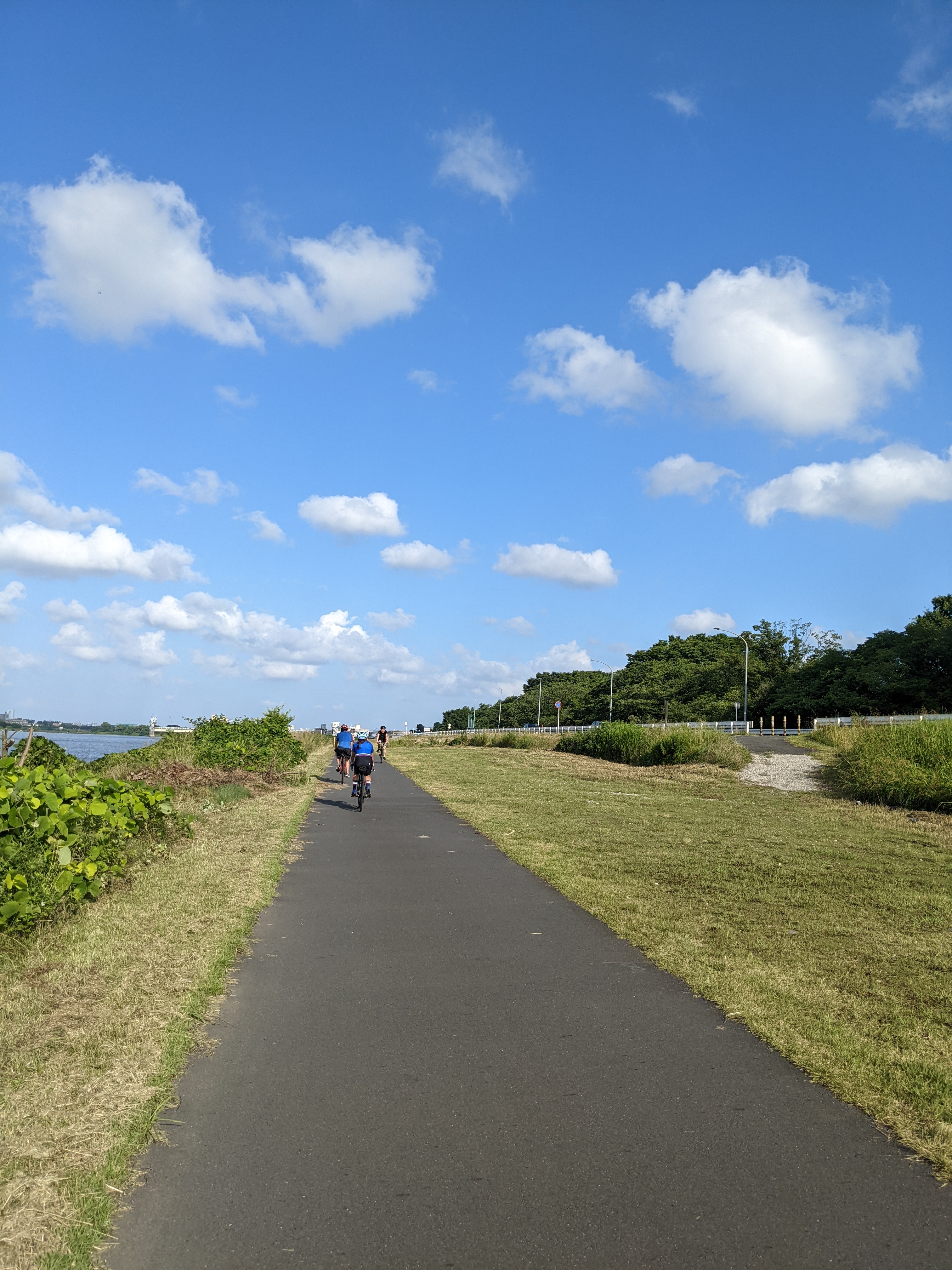 tamagawa-cycling-road