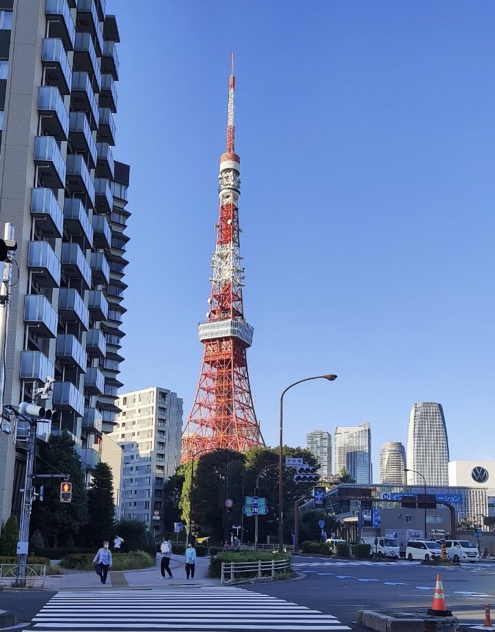 遠くの東京タワー