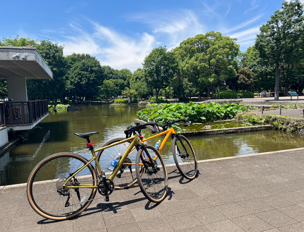 郷土の森公園とグラベルロードバイク