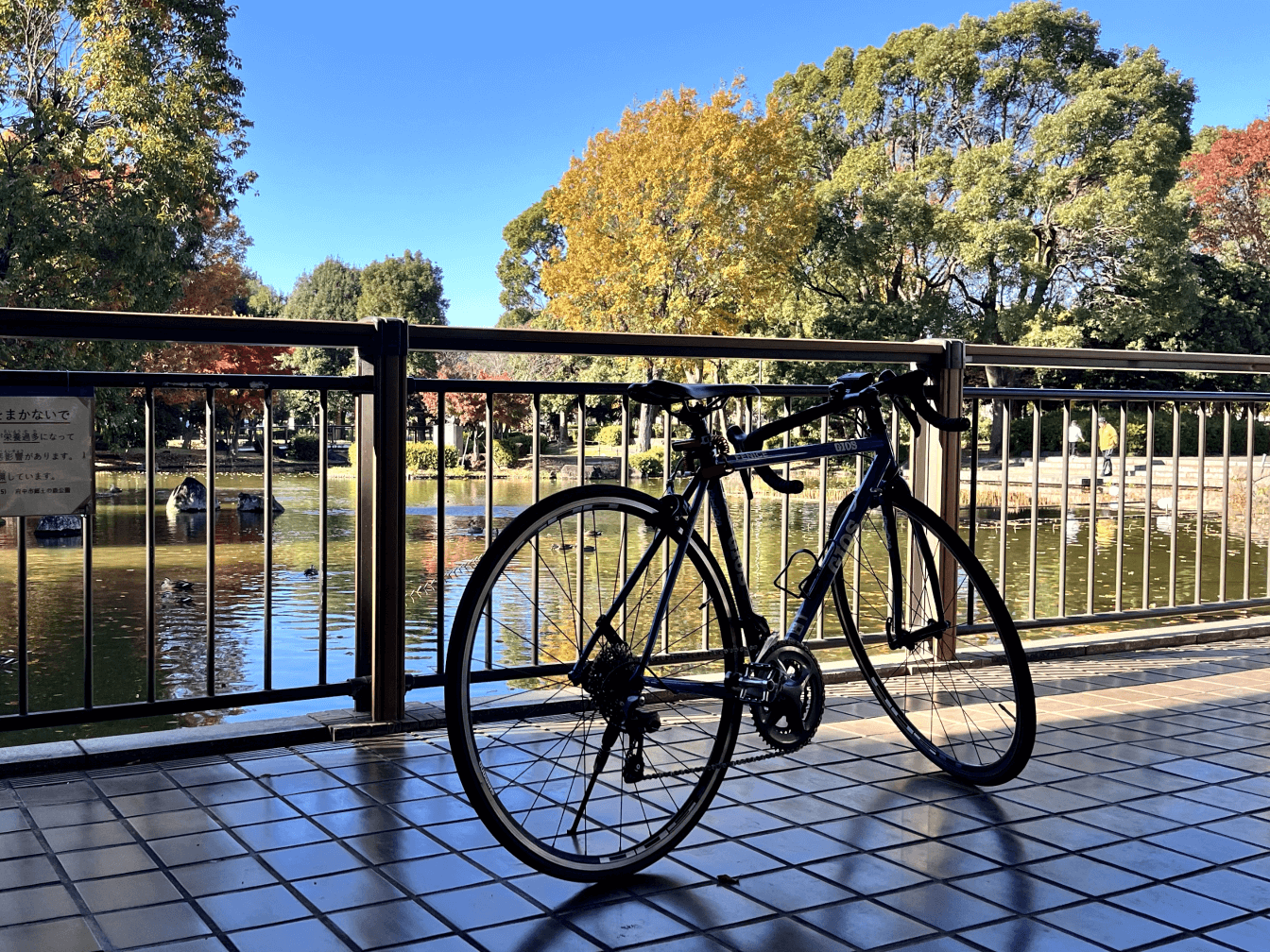 郷土の森公園　修景池
