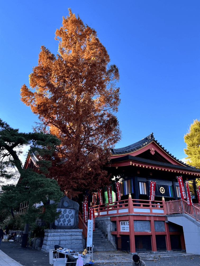 高幡不動の紅葉2