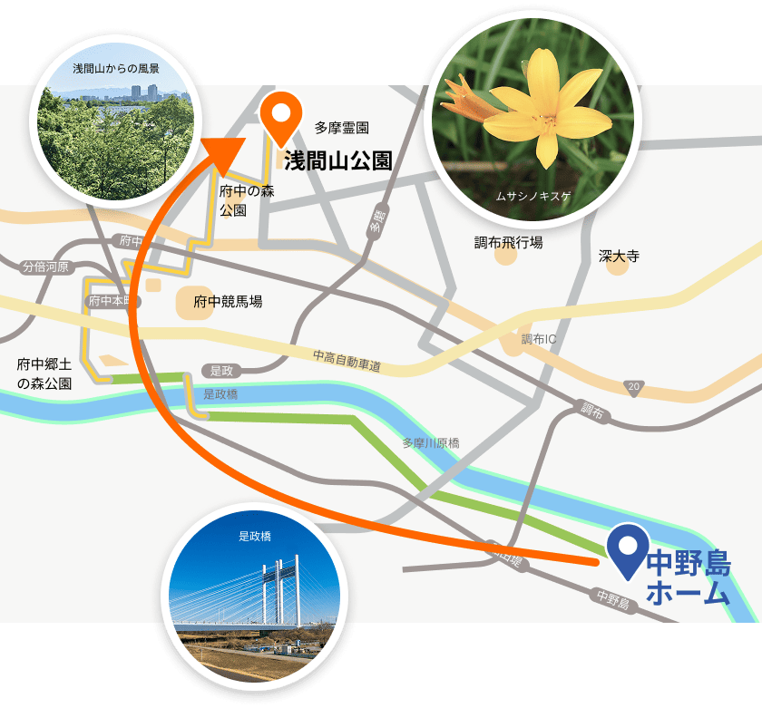 RIDEAWAY中野島ホームから浅間山公園へのルート
