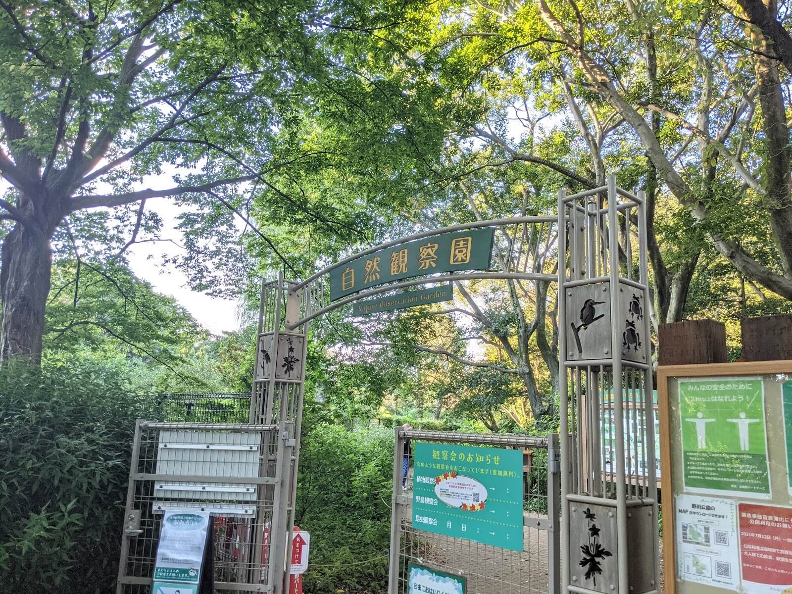 野川公園1