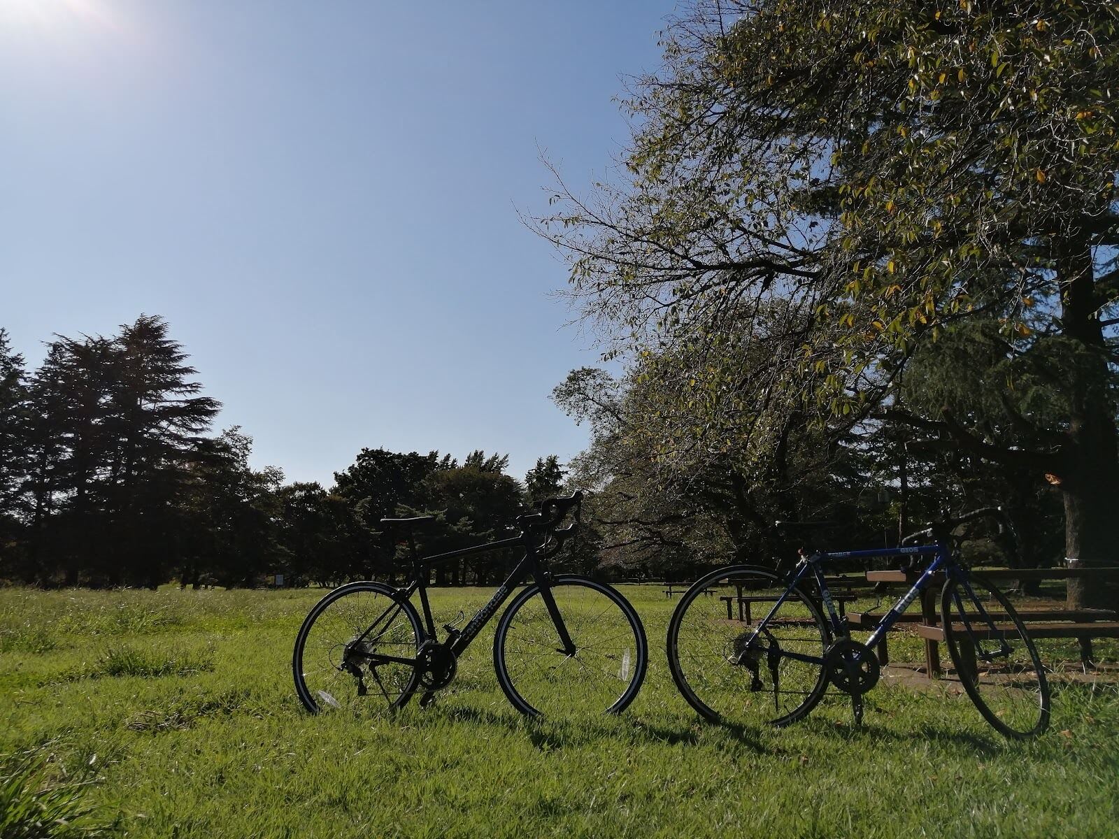 野川公園2