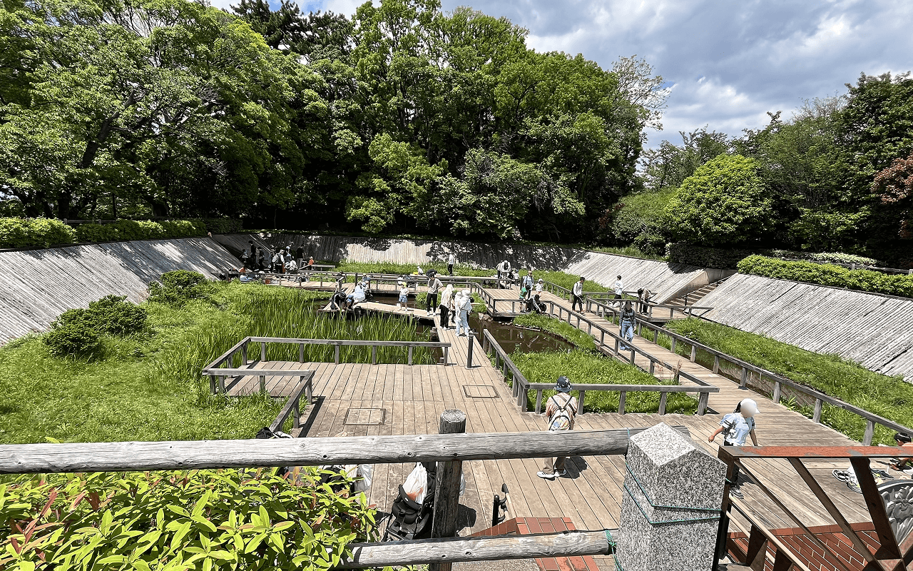 多摩川台公園にある、水生植物園