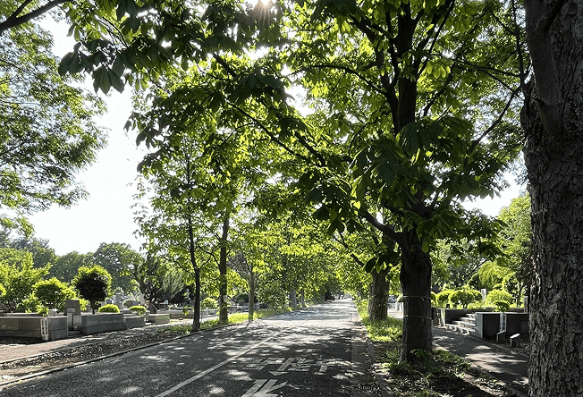 多摩霊園2