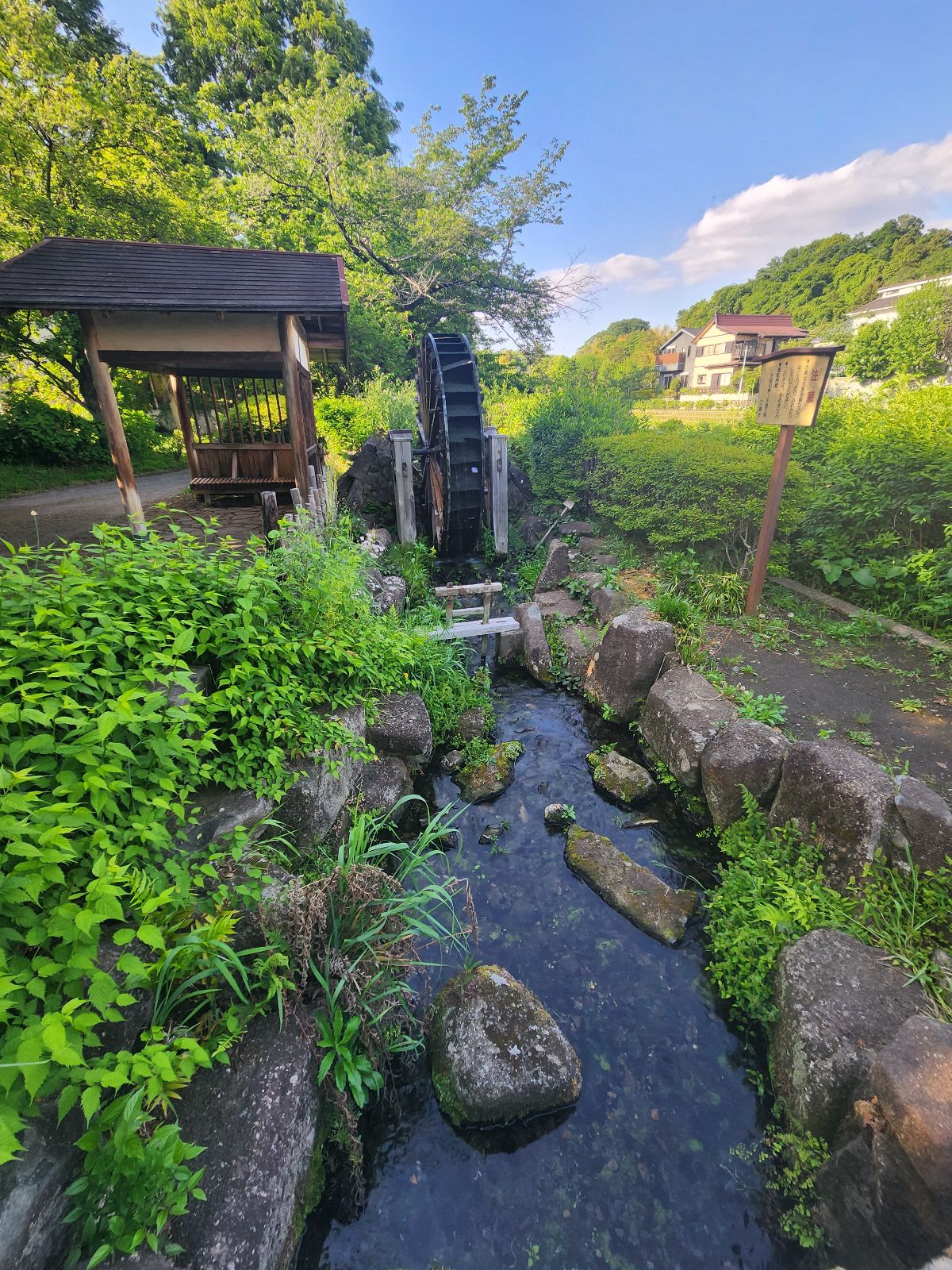野川の水車