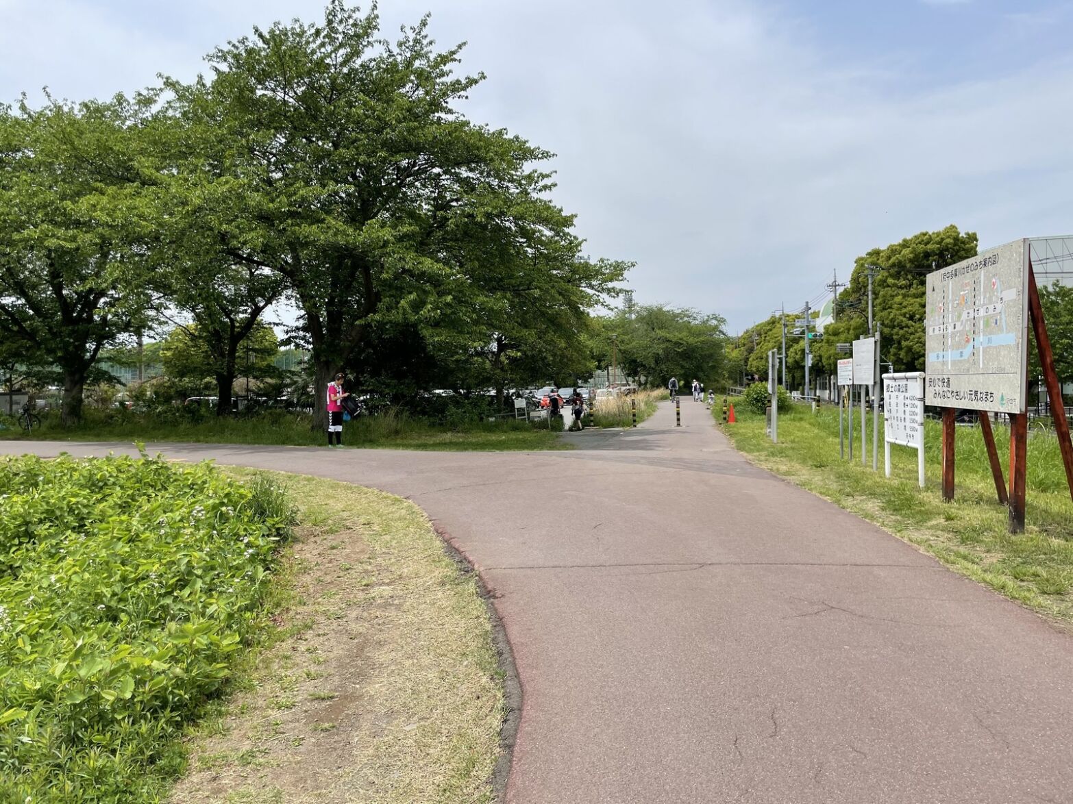 郷土の森公園前の分岐